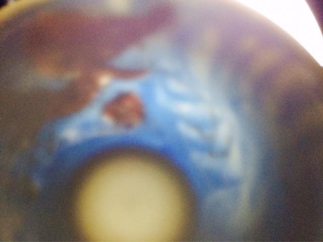 Name:  image-789328698.jpg
Views: 481
Size:  25.8 KB