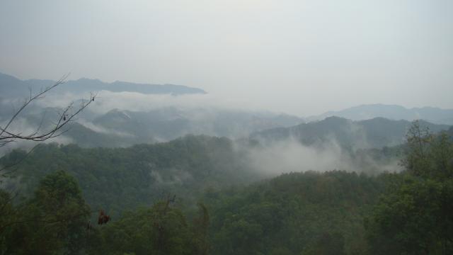Name:  DSC02075.jpg
Views: 123
Size:  15.7 KB
