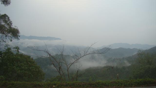 Name:  DSC02077.jpg
Views: 125
Size:  18.7 KB