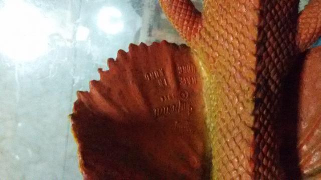 Name:  20140225_091947.jpg
Views: 1234
Size:  29.2 KB