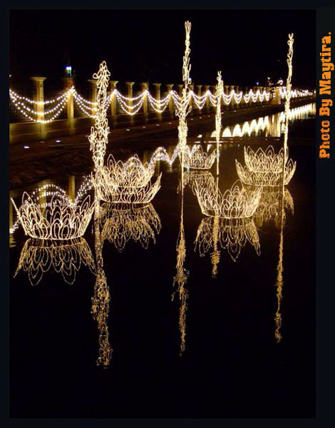 Name:  DSCF3694.JPG
Views: 248
Size:  83.0 KB