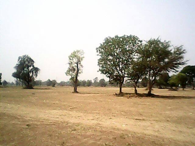 Name:  1982192_299049070242874_2130351918_n.jpg
Views: 184
Size:  44.3 KB