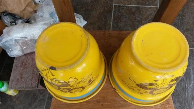 Name:  20140330_133243 (Small).jpg
Views: 557
Size:  32.6 KB