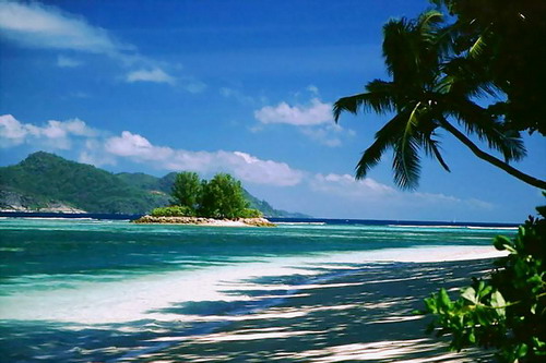 Name:  a04.jpg
Views: 60
Size:  54.9 KB