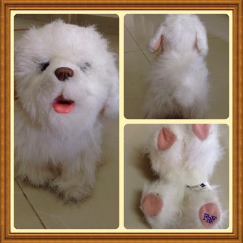 Name:  image.jpg
Views: 973
Size:  30.6 KB