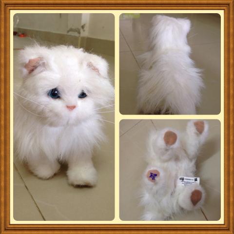 Name:  image.jpg
Views: 1303
Size:  30.4 KB