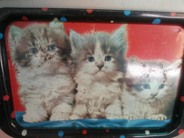 Name:  image.jpg
Views: 799
Size:  40.4 KB