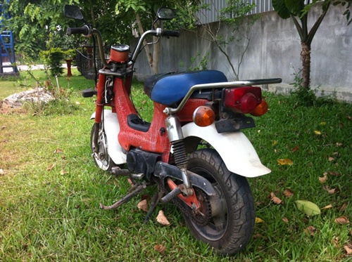Name:  ชาลี3.jpg
Views: 334
Size:  117.6 KB