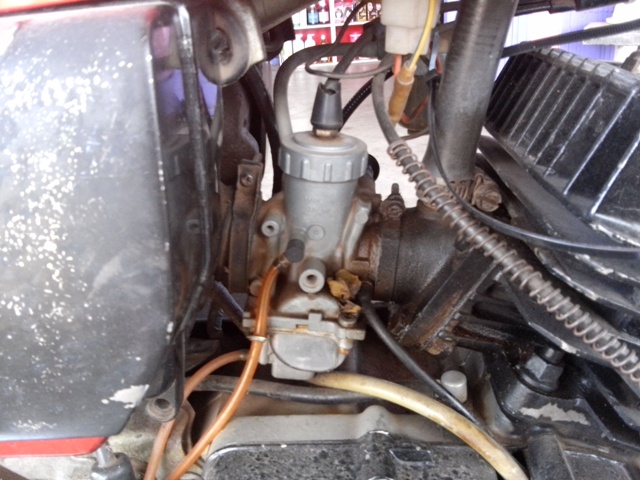 Name:  CAM00341.jpg
Views: 717
Size:  130.9 KB