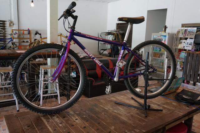 Name:  DSC04271.jpg
Views: 266
Size:  52.2 KB