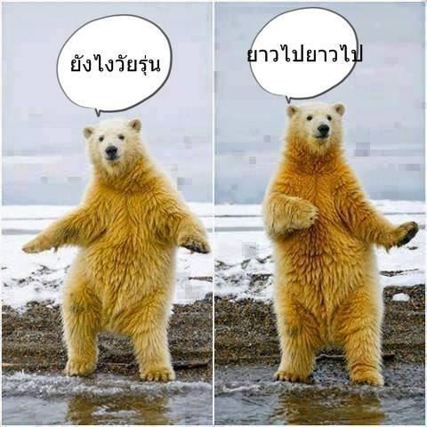 Name:  10407872_703775573013611_847109824574478807_n.jpg
Views: 250
Size:  41.1 KB