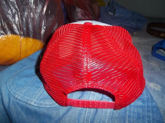 Name:  100_2484_resize.jpg
Views: 258
Size:  65.6 KB