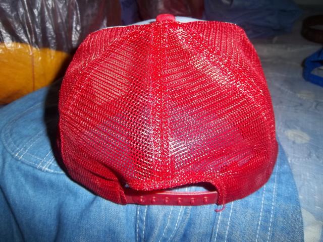 Name:  100_2486_resize.jpg
Views: 255
Size:  71.4 KB