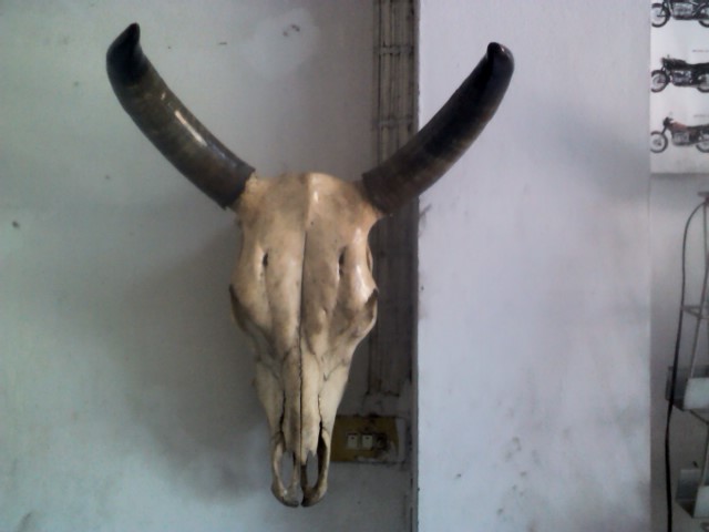 Name:  IMG4199.jpg
Views: 509
Size:  61.5 KB