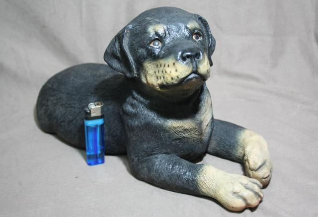 Name:  q5576.jpg
Views: 496
Size:  32.3 KB