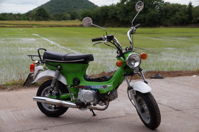 Name:  DSC03185.jpg
Views: 1267
Size:  48.4 KB