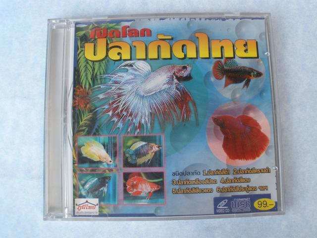 Name:  P9203795.jpg
Views: 598
Size:  47.4 KB