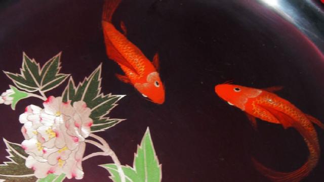 Name:  P9150213.jpg
Views: 562
Size:  24.4 KB