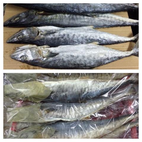 Name:  IMG_8286.jpg
Views: 671
Size:  45.0 KB