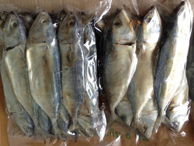 Name:  ҷ.jpg
Views: 684
Size:  48.2 KB