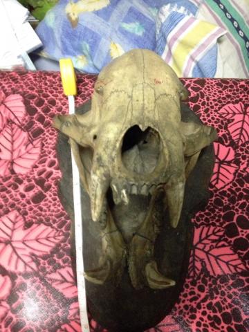 Name:  b1.jpg
Views: 550
Size:  38.3 KB