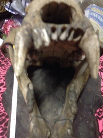 Name:  b3.jpg
Views: 558
Size:  22.8 KB