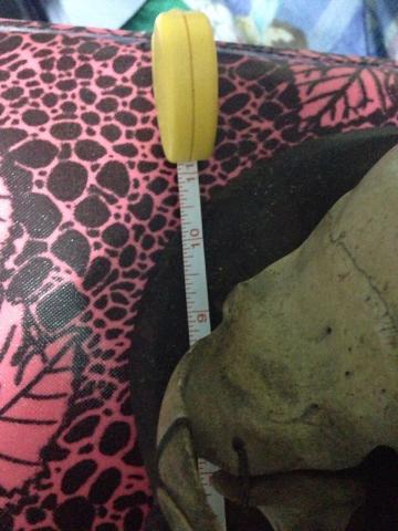 Name:  b4.jpg
Views: 549
Size:  30.6 KB