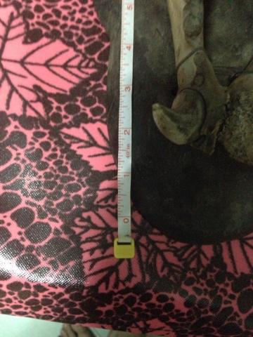 Name:  b5.jpg
Views: 562
Size:  32.3 KB