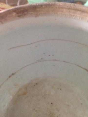 Name:  c3.jpg
Views: 514
Size:  11.4 KB