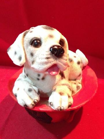 Name:  IMG_3223.jpg
Views: 500
Size:  20.4 KB