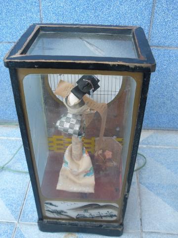 Name:  P5013063.jpg
Views: 533
Size:  32.1 KB