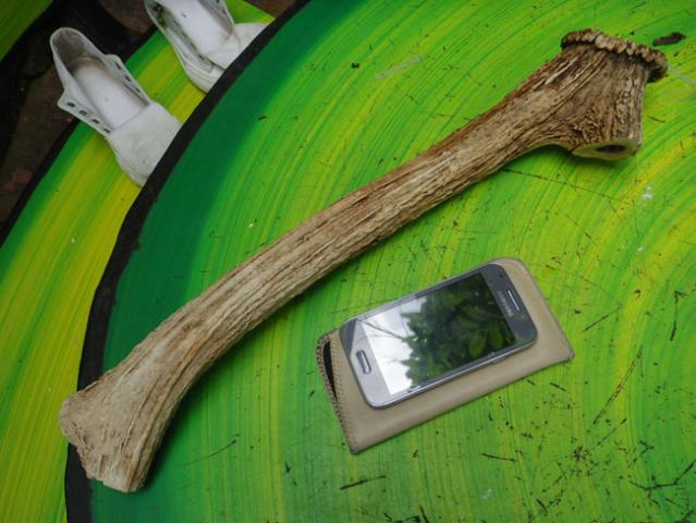 Name:  DSC07345.jpg
Views: 184
Size:  47.1 KB