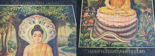 Name:  q6423.jpg
Views: 724
Size:  38.4 KB