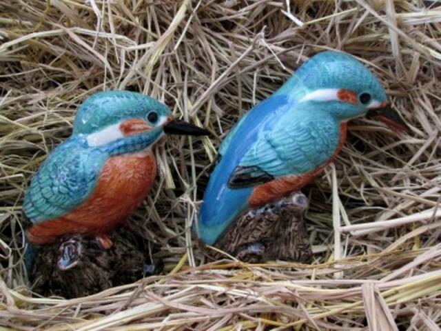 Name:  IMG_1049.jpg
Views: 267
Size:  64.9 KB