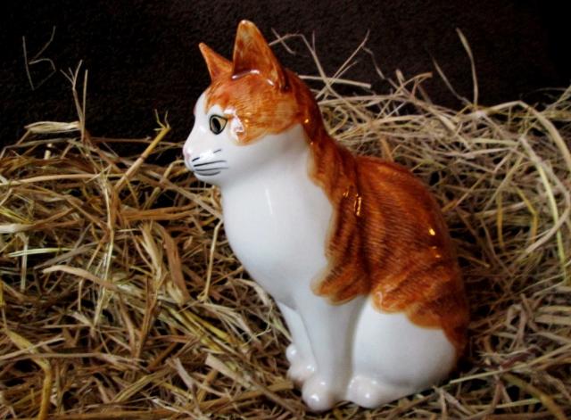 Name:  yellowcat.jpg
Views: 194
Size:  53.8 KB