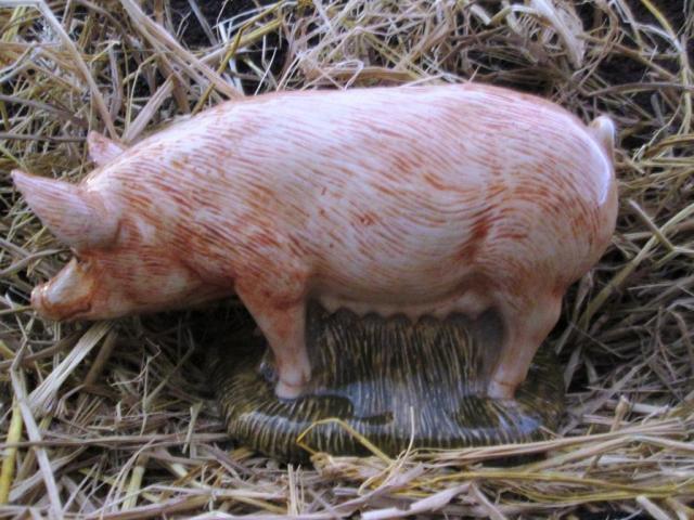 Name:  IMG_1191.jpg
Views: 152
Size:  59.6 KB