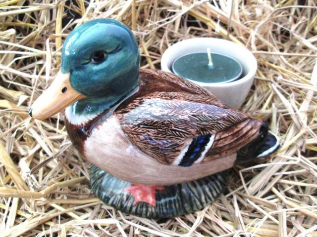 Name:  IMG_1268.jpg
Views: 340
Size:  70.0 KB