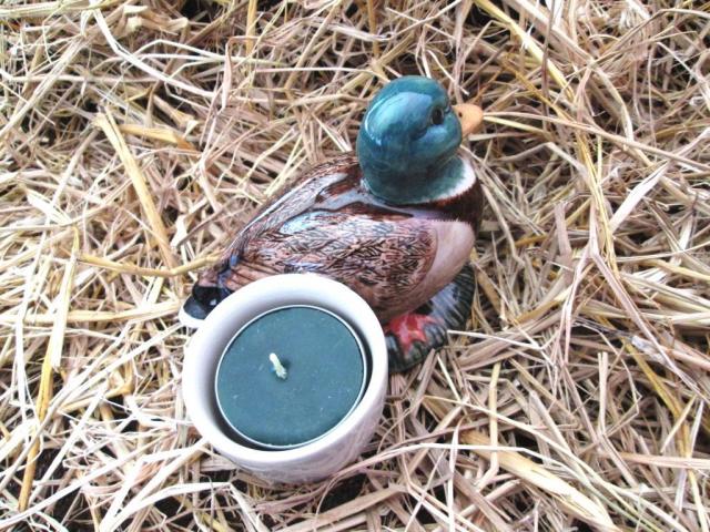 Name:  duck2.jpg
Views: 340
Size:  87.5 KB