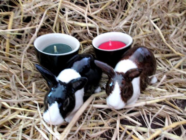 Name:  candlerabbit.jpg
Views: 312
Size:  62.8 KB