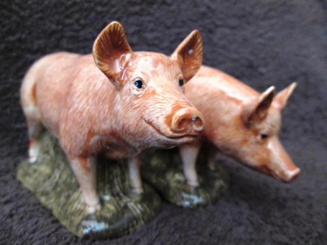 Name:  farmpig3.jpg
Views: 170
Size:  37.4 KB