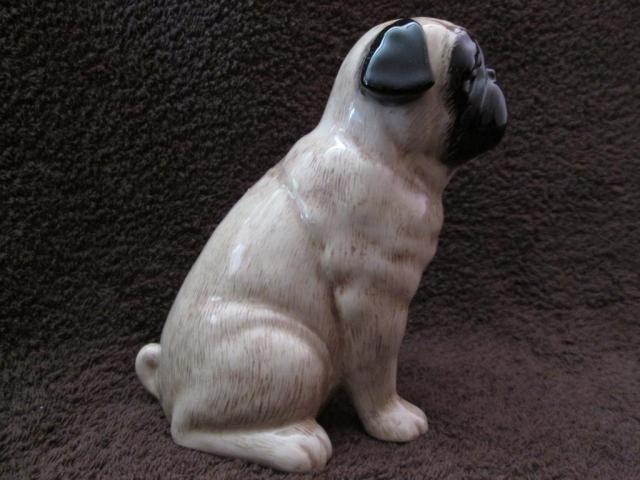 Name:  pug2.jpg
Views: 156
Size:  43.1 KB
