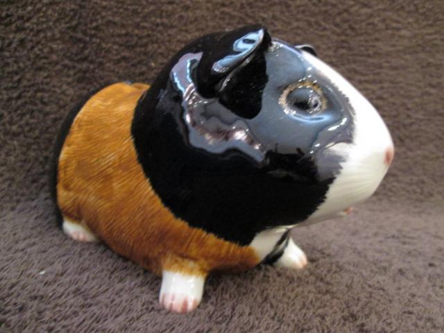 Name:  gpig2.jpg
Views: 128
Size:  41.6 KB