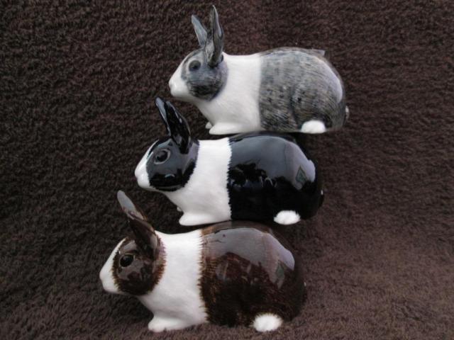 Name:  rabbitfam2.jpg
Views: 163
Size:  45.7 KB