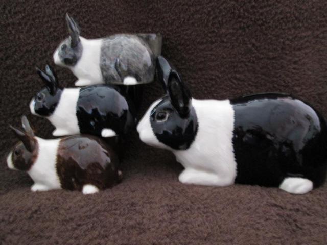 Name:  rabbitfam.jpg
Views: 164
Size:  39.1 KB