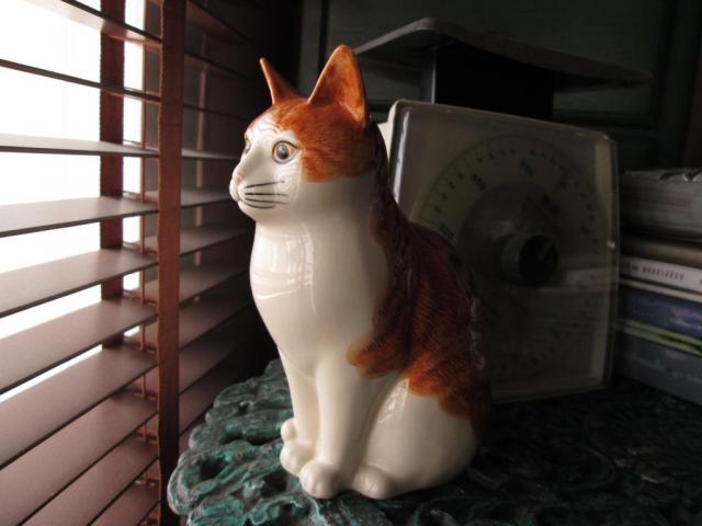 Name:  catcat1.jpg
Views: 140
Size:  31.9 KB