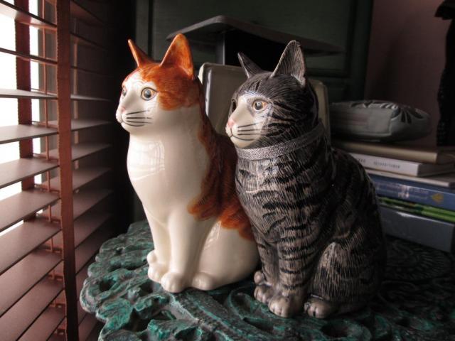 Name:  caycat2.jpg
Views: 140
Size:  41.9 KB