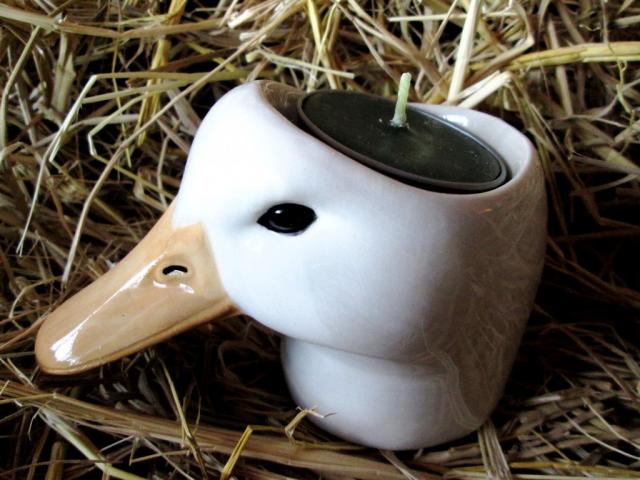 Name:  duckhead.jpg
Views: 112
Size:  50.6 KB