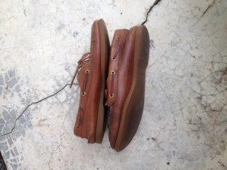 Name:  ٻҾ 5-5.JPG
Views: 181
Size:  55.7 KB