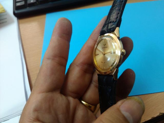 Name:  witt2.jpg
Views: 649
Size:  27.6 KB