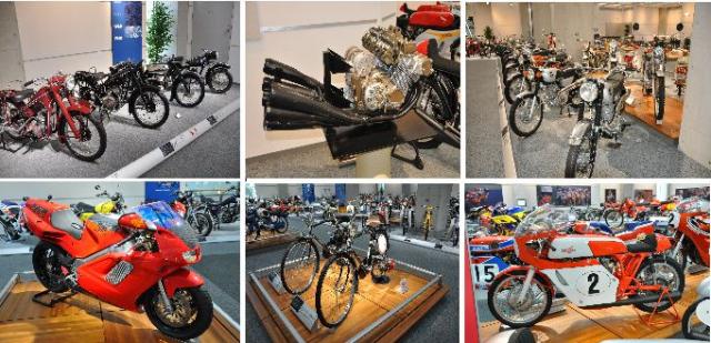 Name:  Collection Hall Display.jpg
Views: 481
Size:  57.9 KB